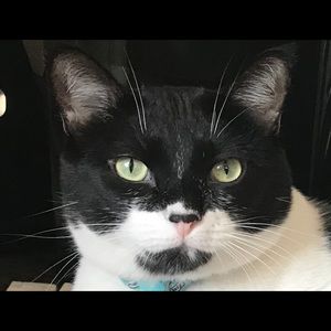 Meet your Posher, Joanne